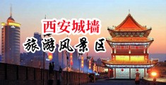 先3cm插入中国陕西-西安城墙旅游风景区