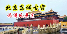 看老汉曰逼中国北京-东城古宫旅游风景区